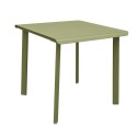 Table 2 personnes 70x70 olivier