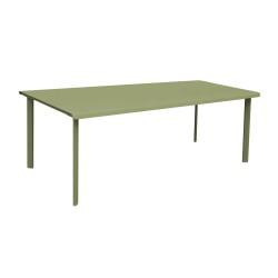 Table 8 personnes 220x100 olivier