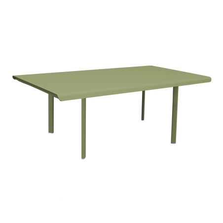 Table 10 personnes 260x100 olivier